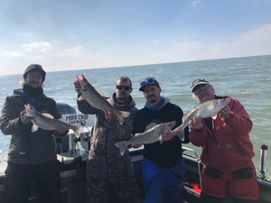 Lake Erie Fishing 2020